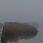 Federsee-Walk