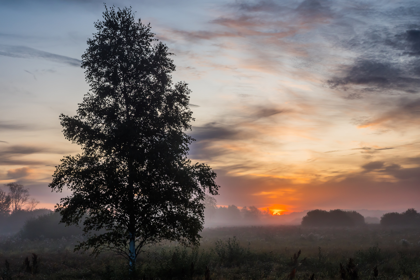 Federsee_3