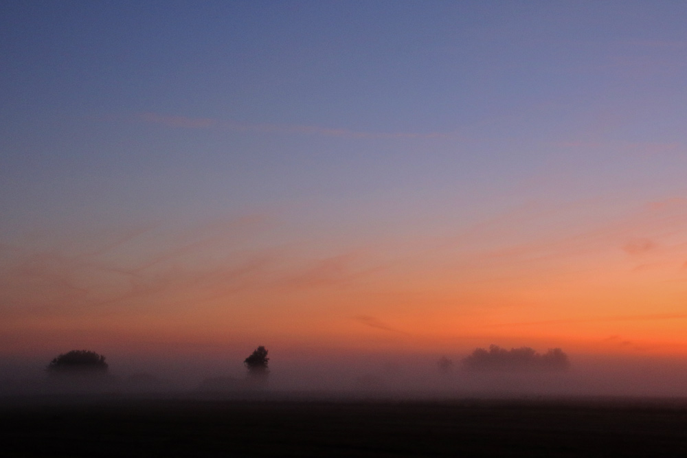 Federseegebiet vor Sonnenaufgang