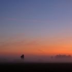 Federseegebiet vor Sonnenaufgang