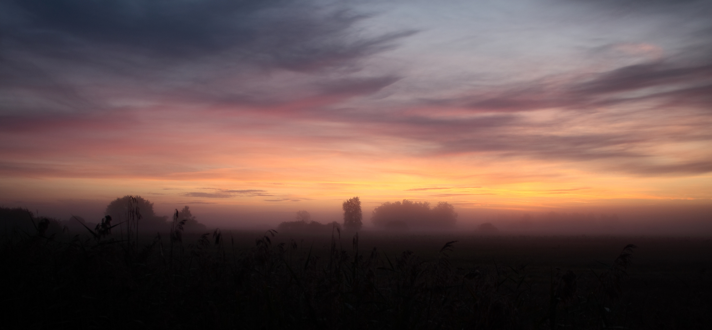 Federseesteeg am frühen Morgen -II-