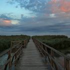 Federseesteg vor Sonnenaufgang