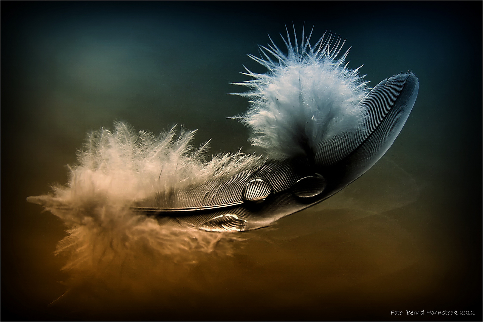 Federspiel. Foto & Bild abstraktes, farben, knallebunt Bilder auf