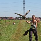 Federspiel in der Natur