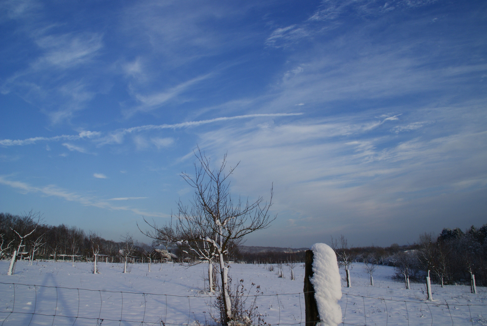 Federwolken