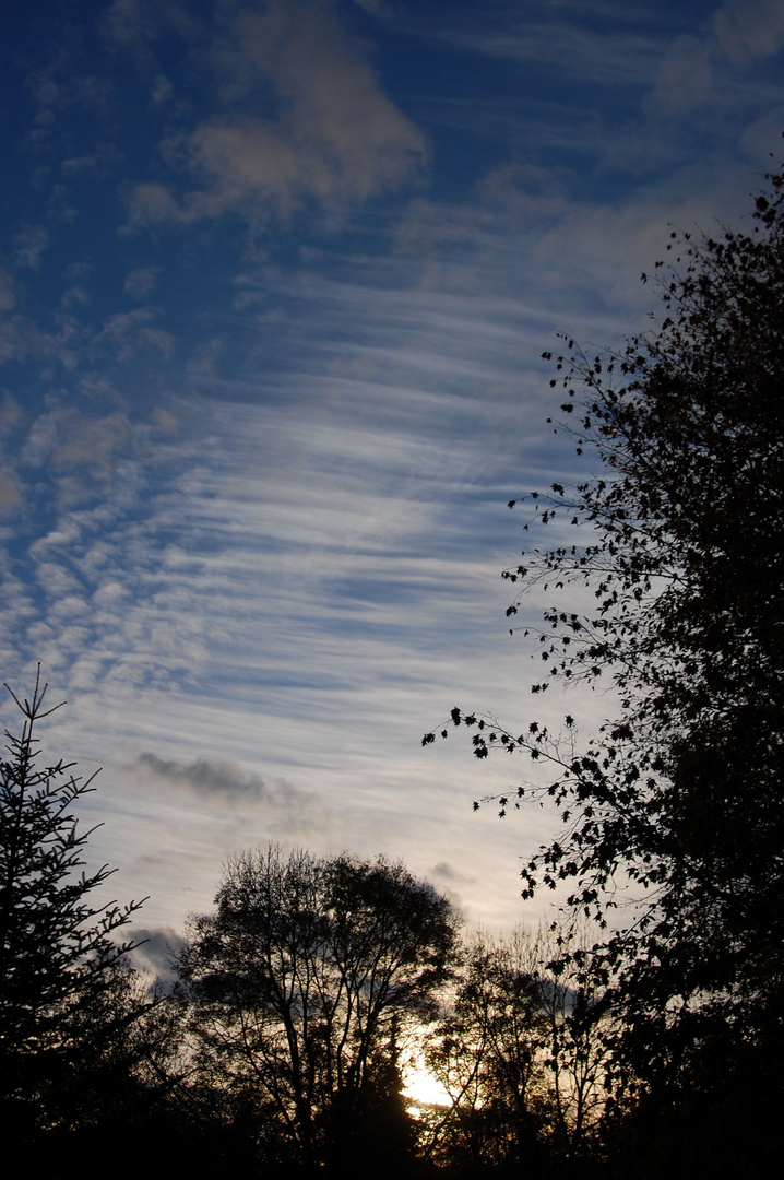 Federwolken