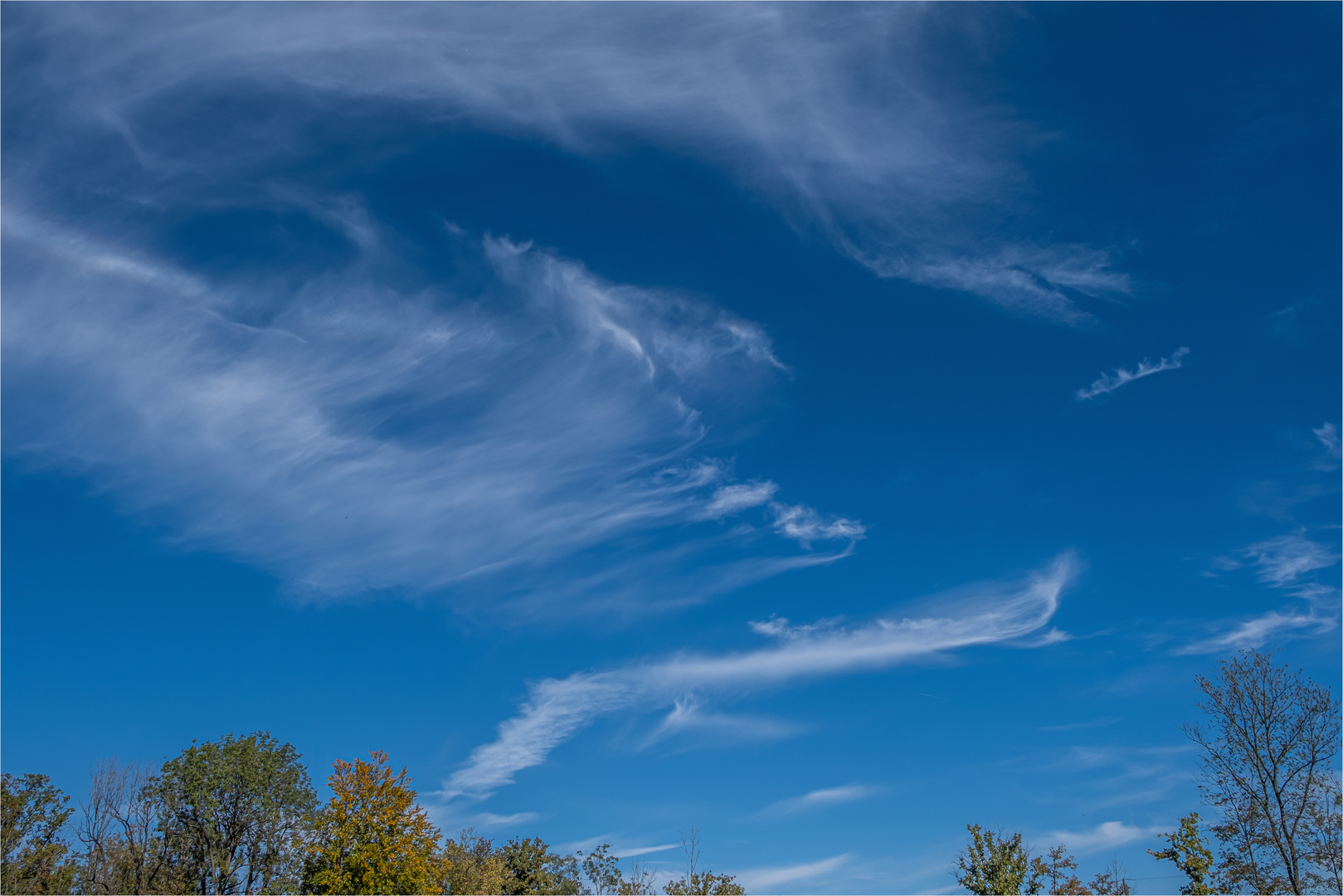 FEDERWOLKEN