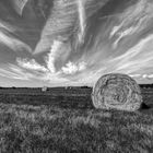 Federwolken mit Heuballen in S-W