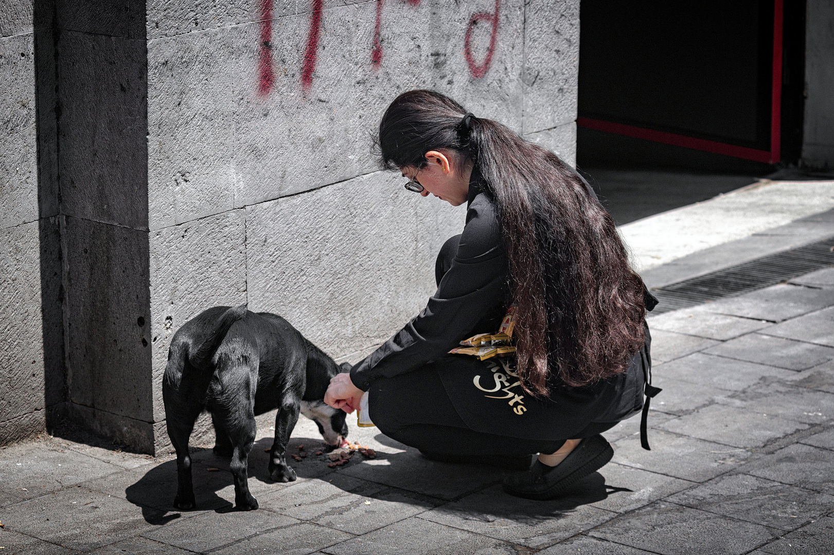 Feeding a stray dog