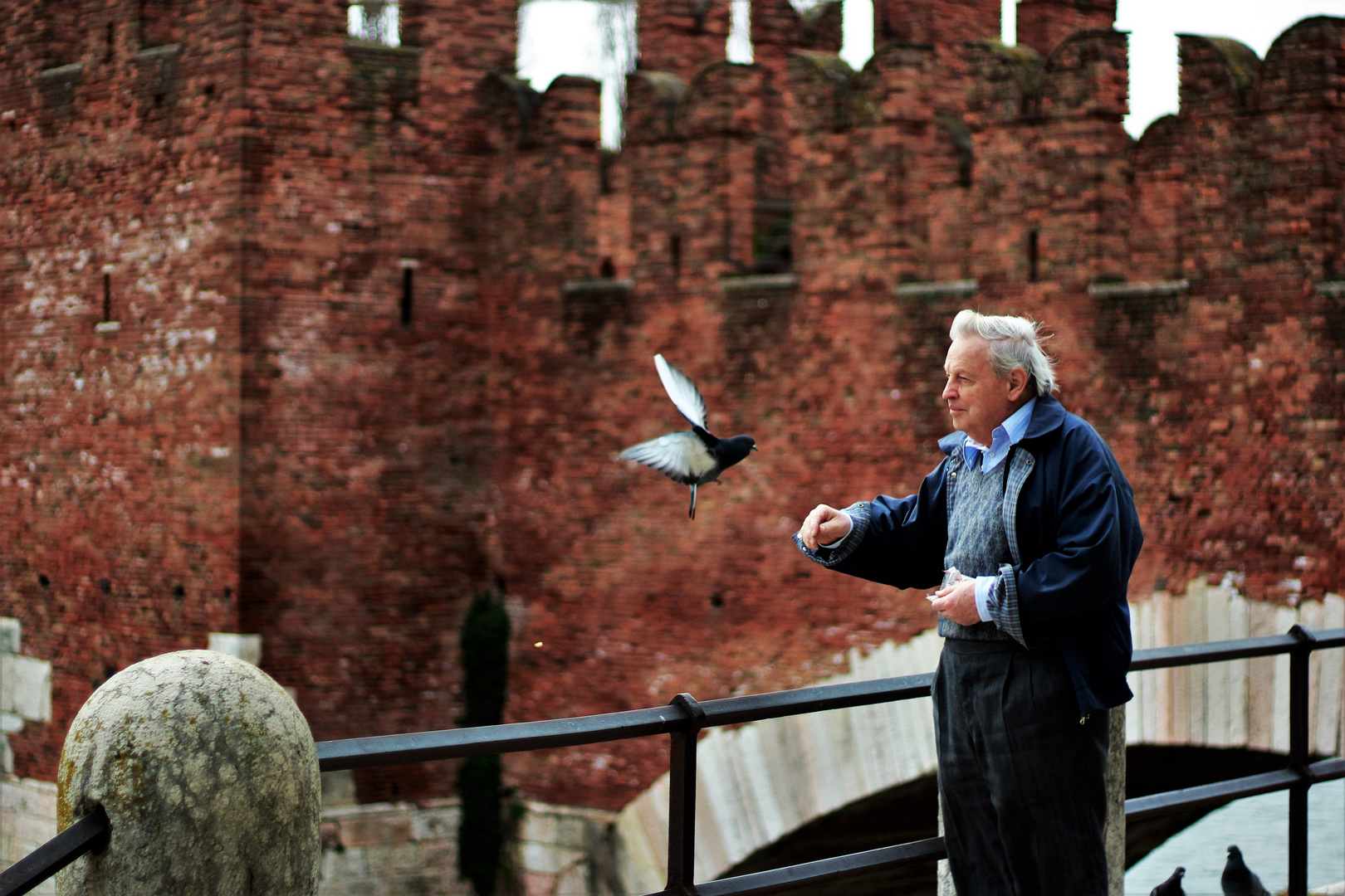 feeding birds.