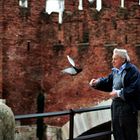 feeding birds.