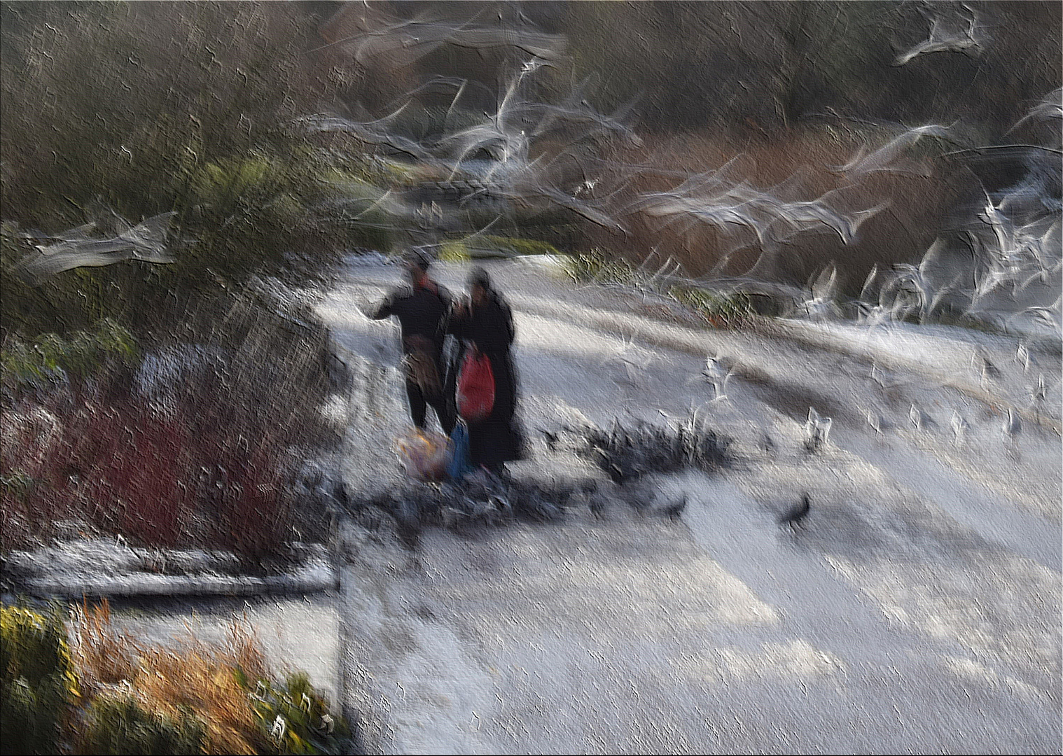 Feeding Birds on a Snowy Day