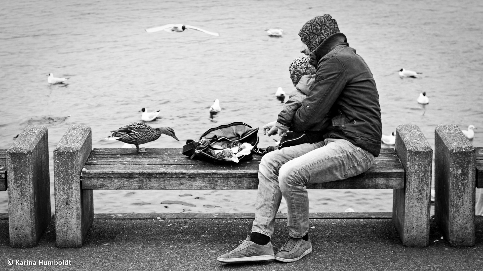 Feeding ducks and gulls with daddy