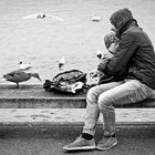 Feeding ducks and gulls with daddy