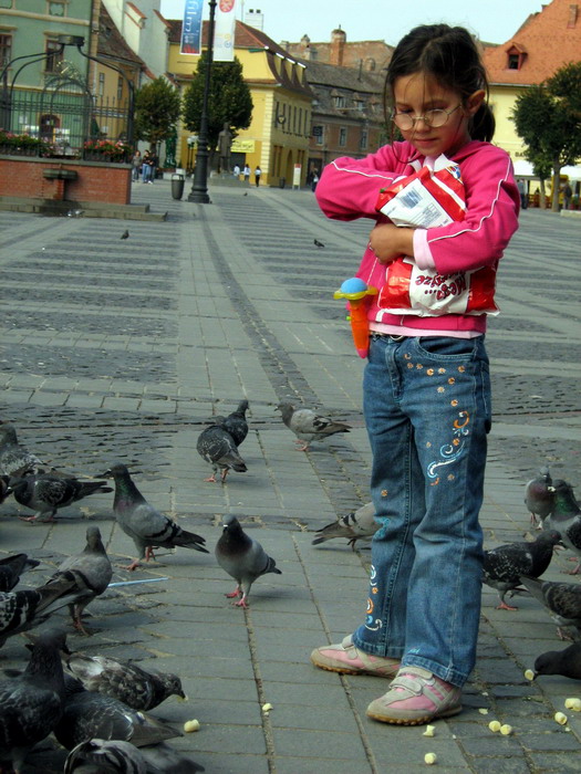 Feeding pigeons