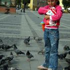 Feeding pigeons