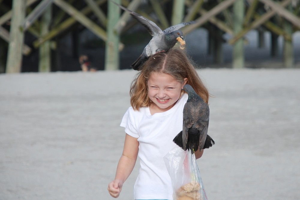 Feeding the birds