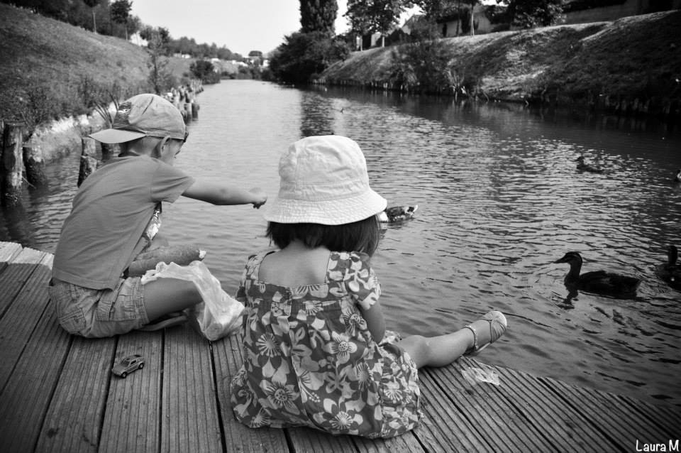 Feeding the ducks