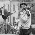 feeding the pigeons