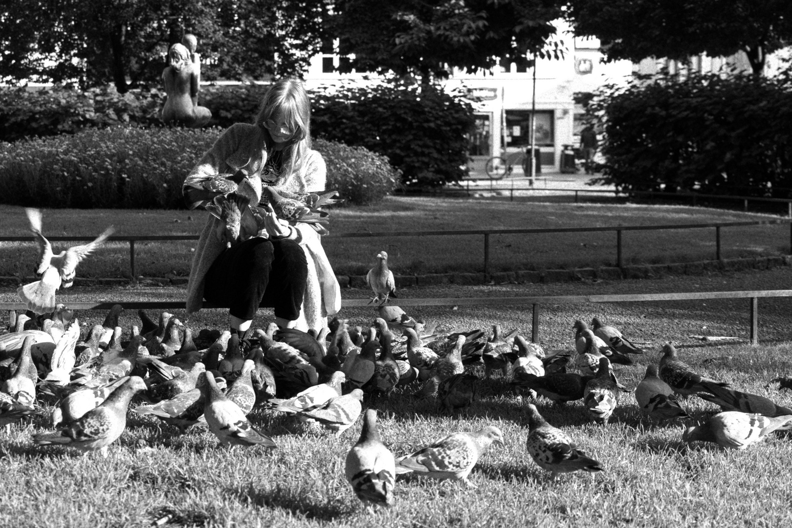 feeding the pigeons