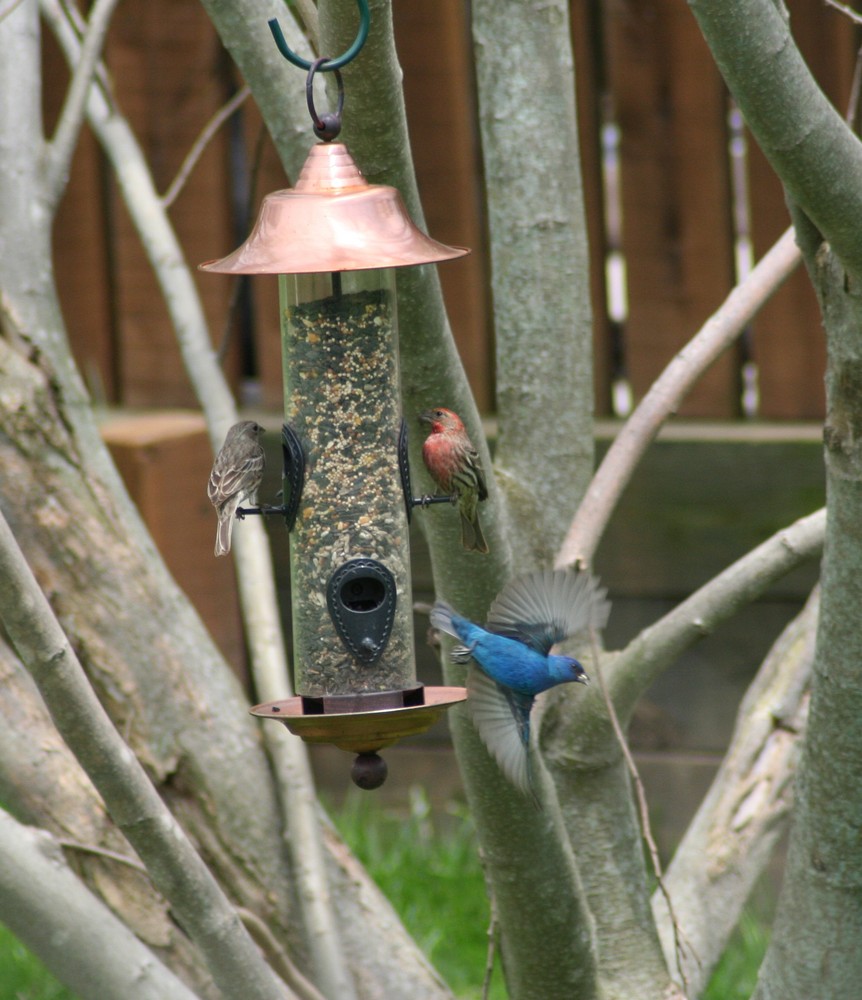 Feeding time