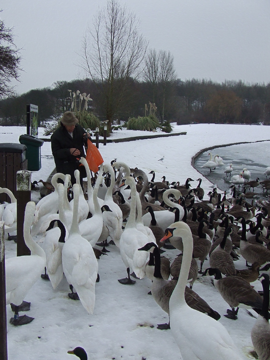 Feeding time