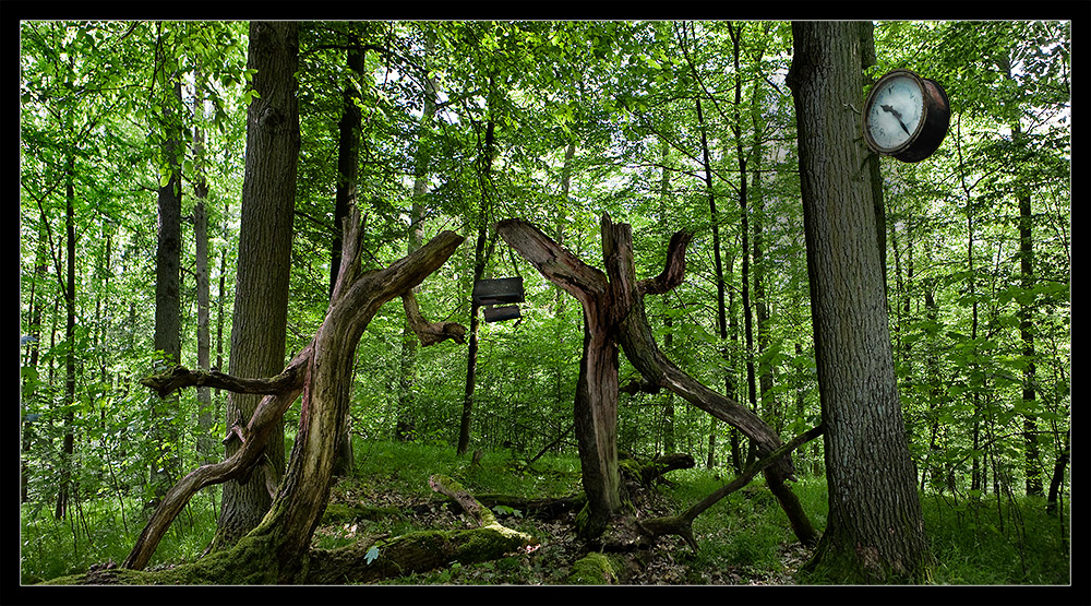 feeding time von FOTOZIRKEL 