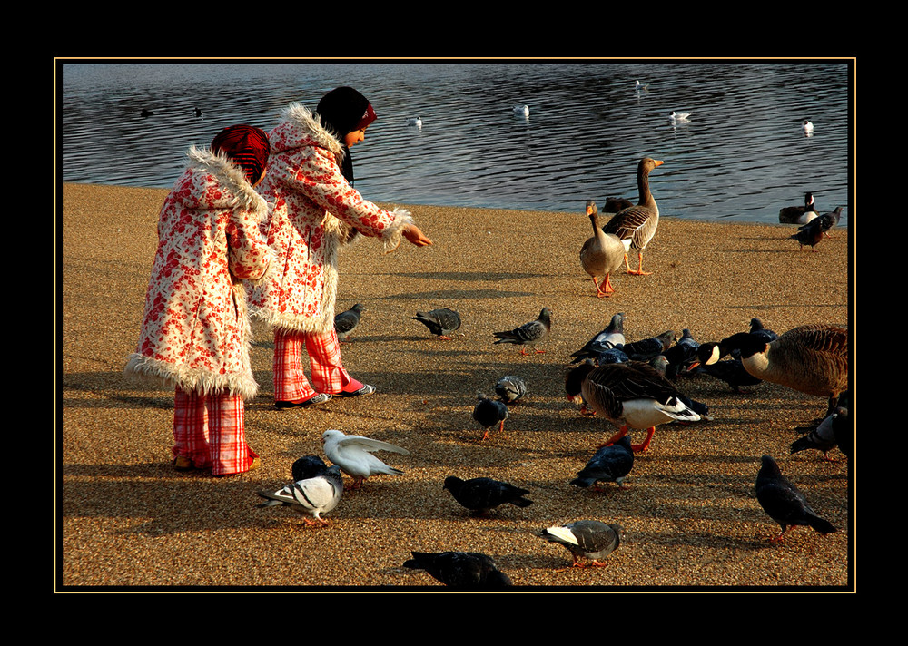 Feeding Time