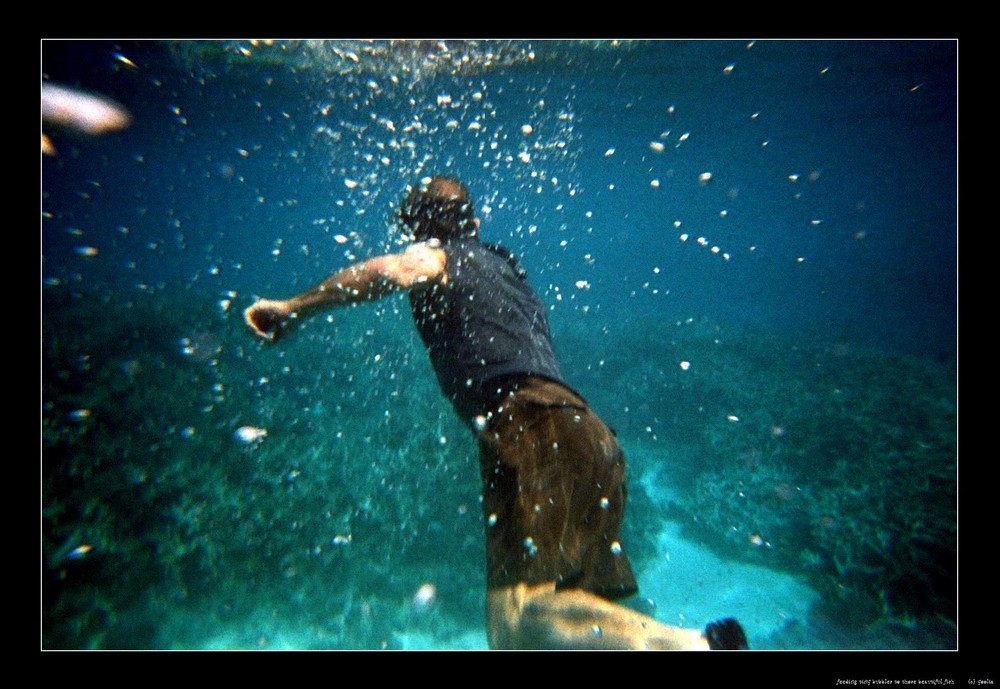 feeding tiny bubbles to those beautiful fish