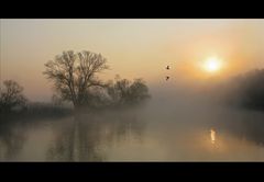 Nebel im Ruhrtal