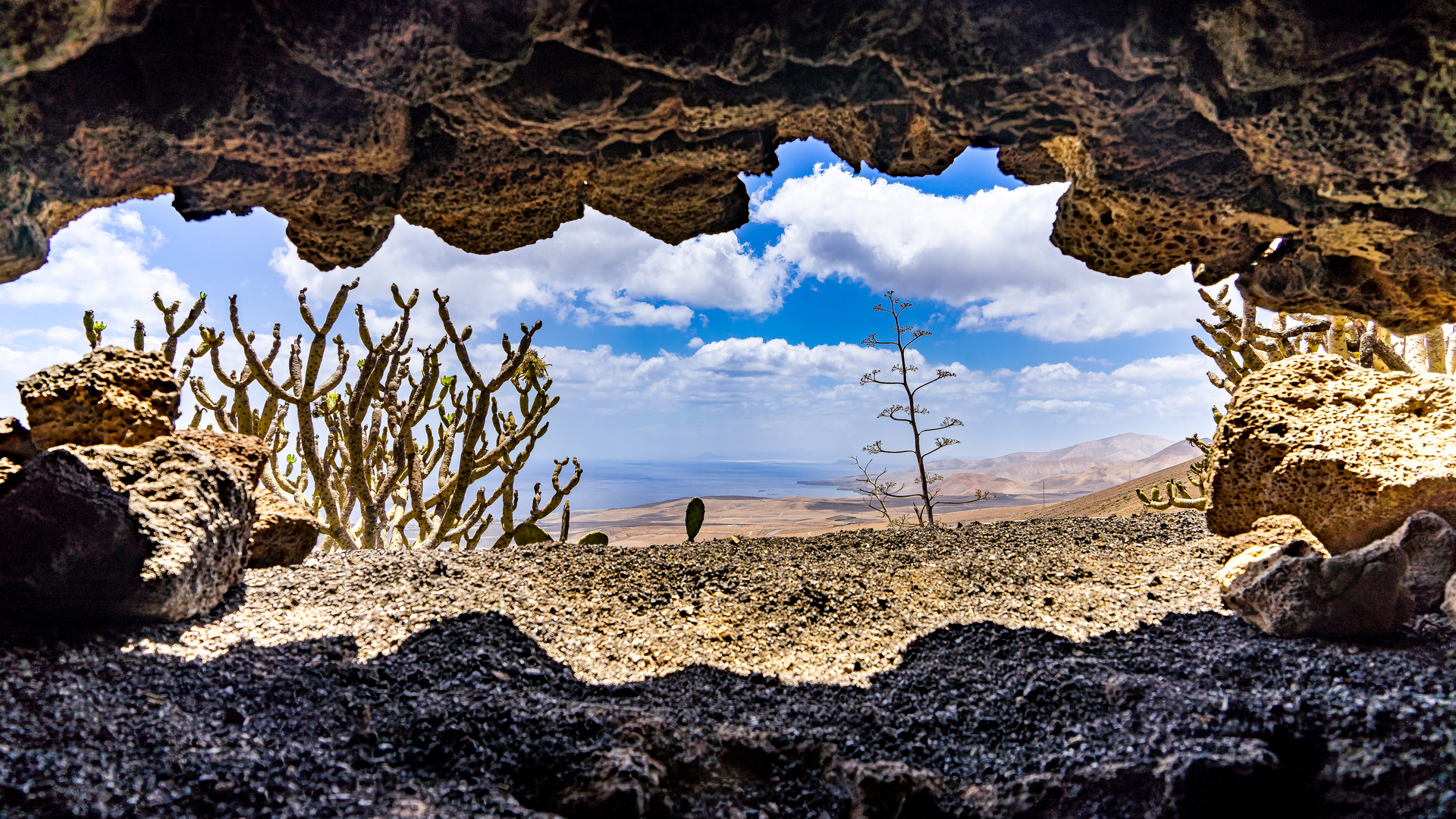 Feel the Lanzarote-Effect