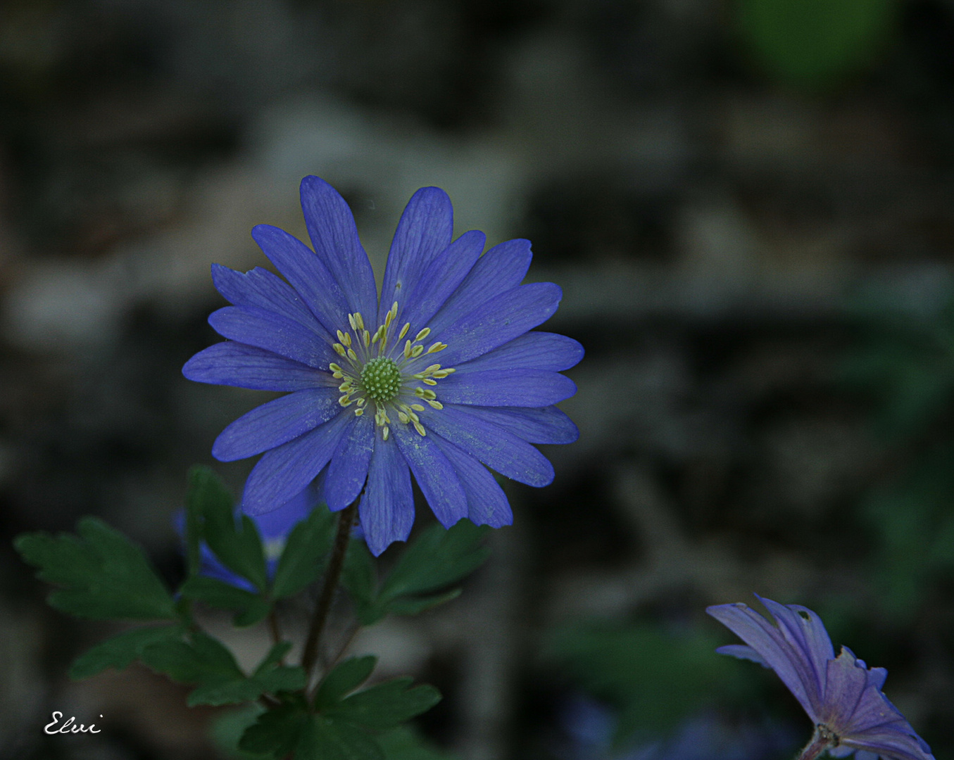 Feeling blue