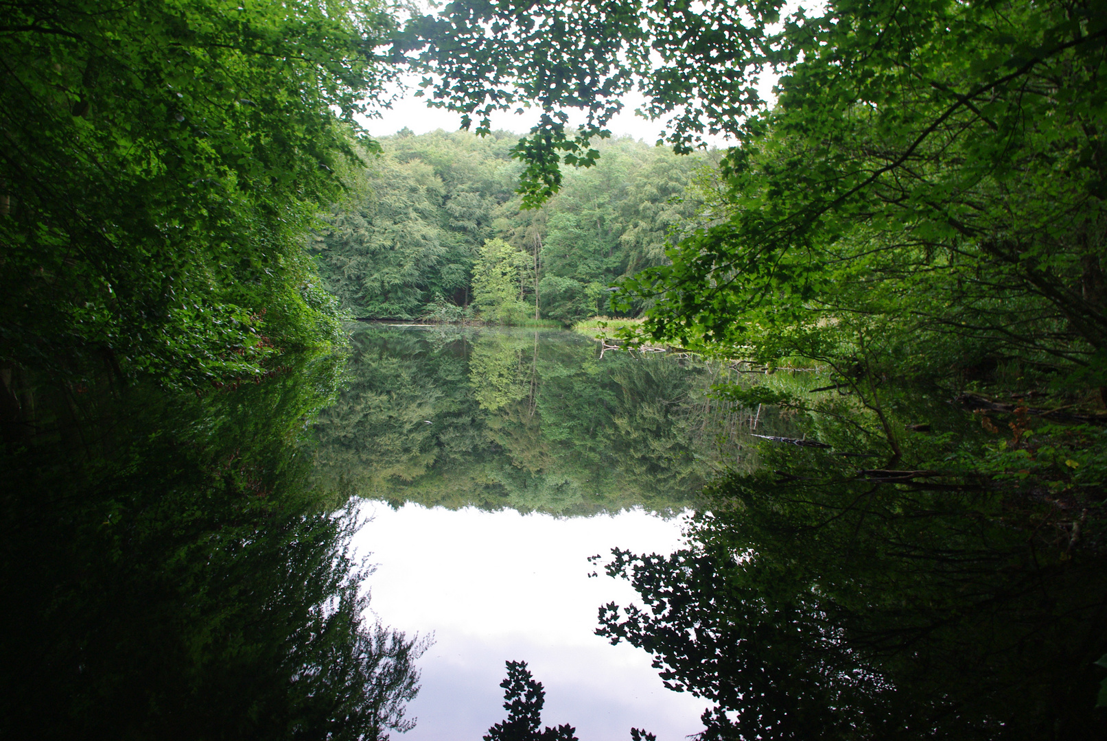 Feen - Weiher