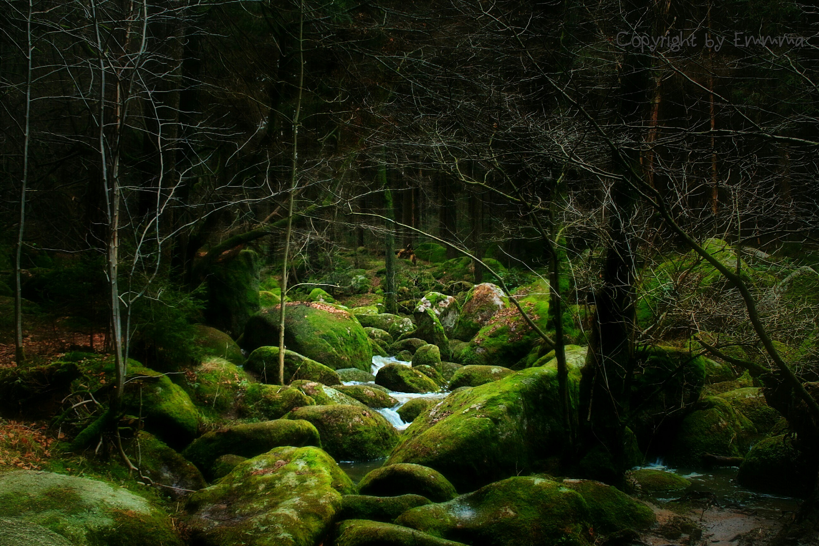 Feenland Foto Bild Jahreszeiten Herbst Mystisch Feen Bilder Auf Fotocommunity