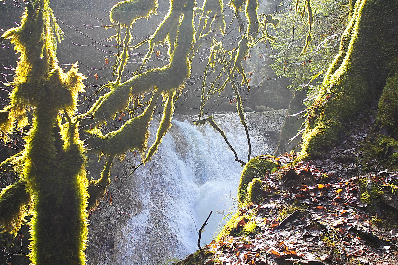 Feenland am Eistobel