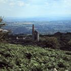 Feenlandschaft im Bodmin-Moor/Cornwall