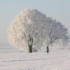 Féerie de l ' hiver !