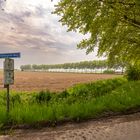 Feerwerd - Middagsterweg - 01