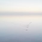 feet