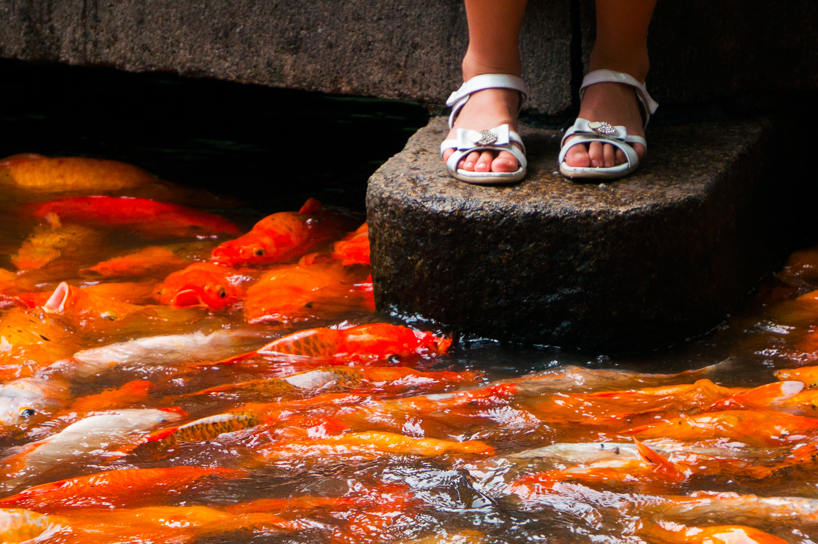 Feet and Fish