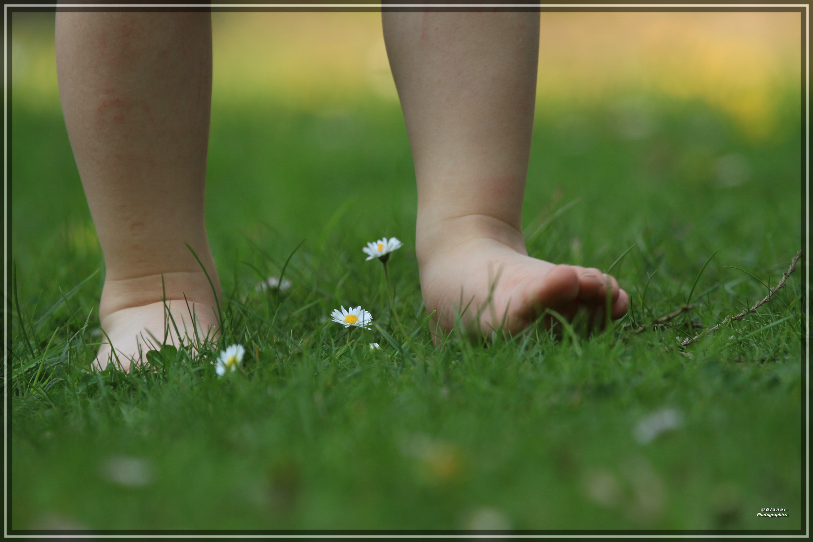 Feet and Flowers