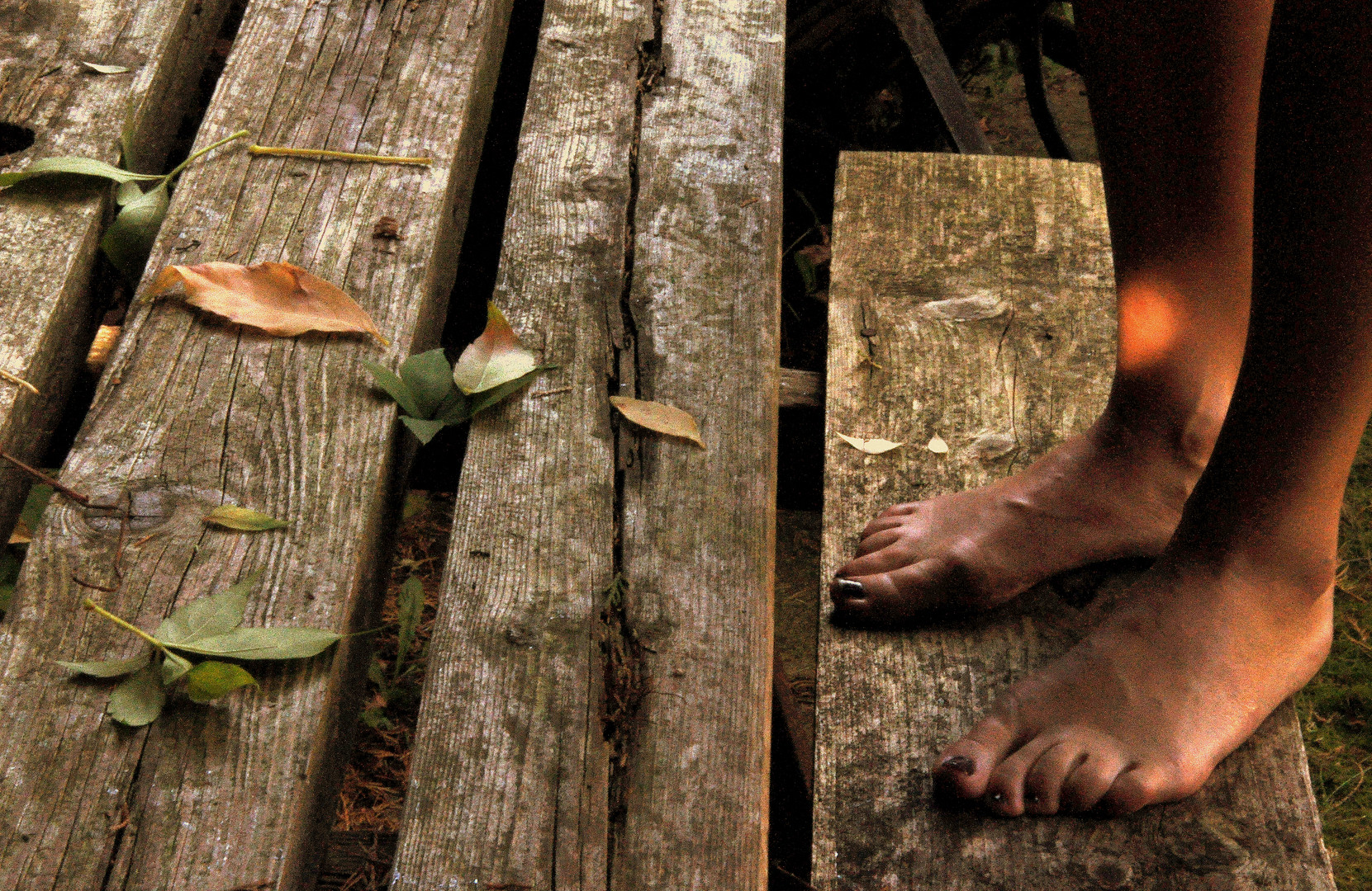 Feet of Autumn