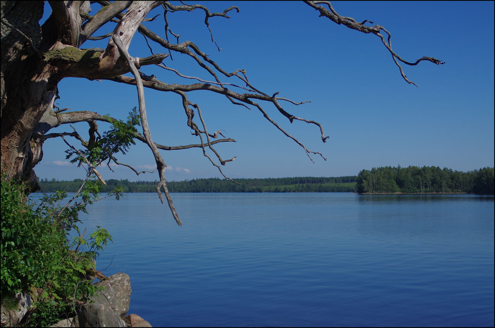 Fegensee