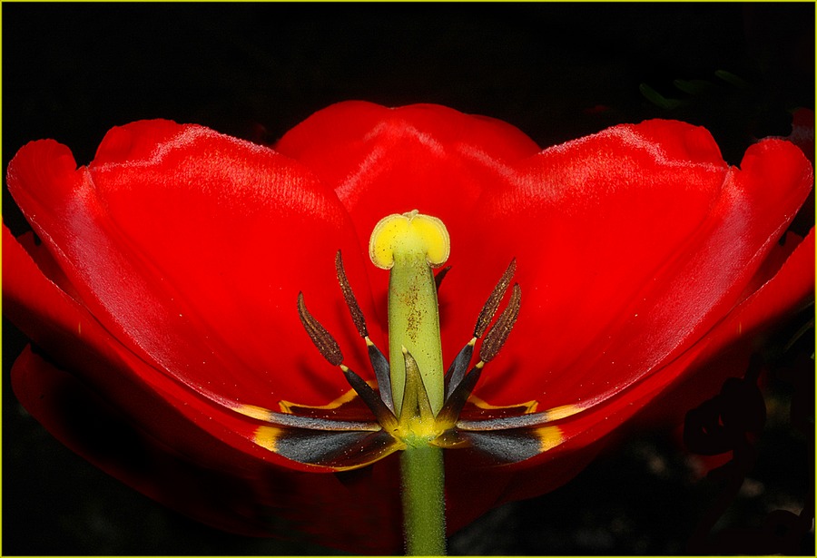 fehlendes Blatt