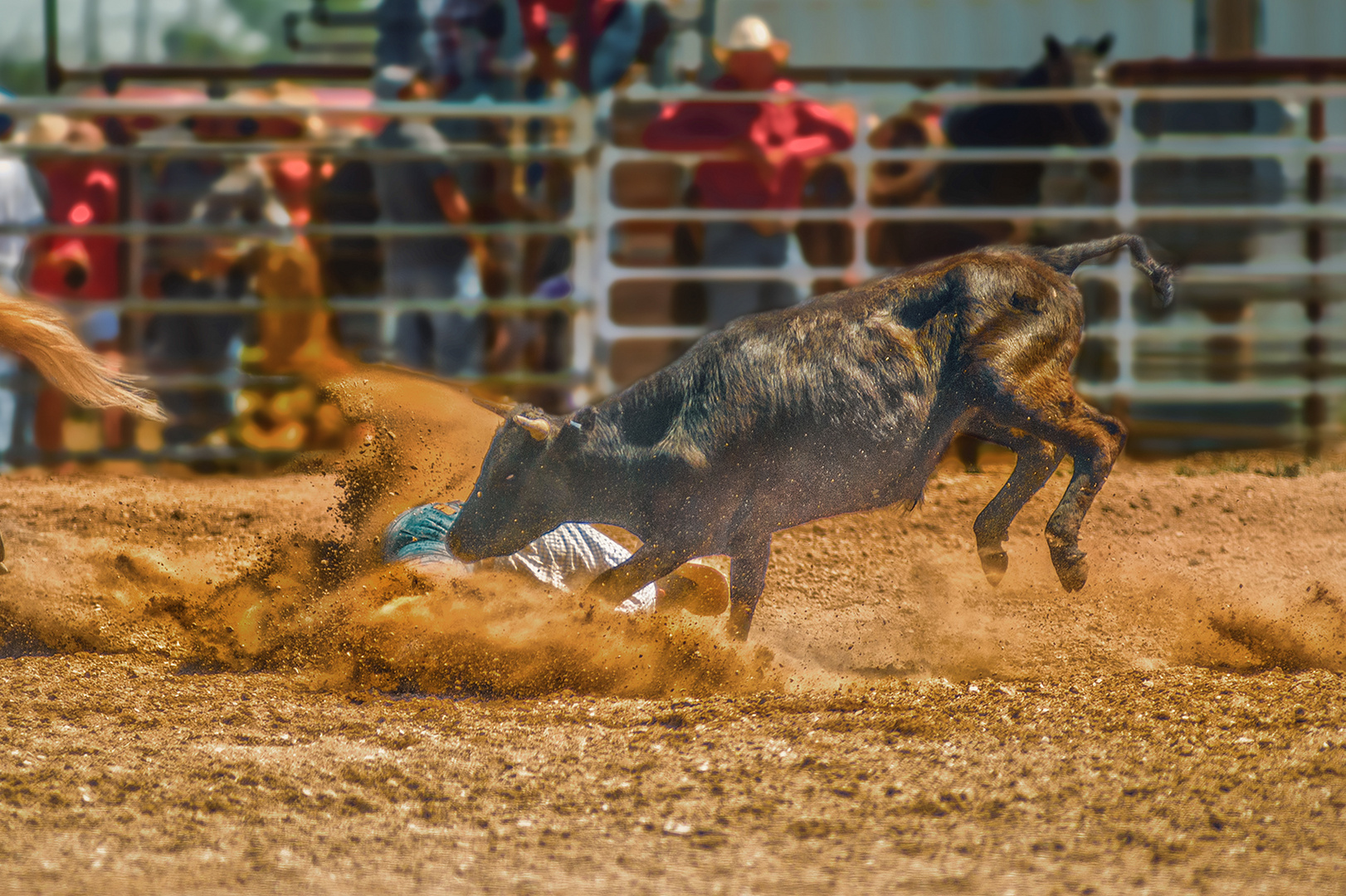 Fehlgriff beim Rodeo