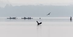 Fehlschlag im Morgennebel