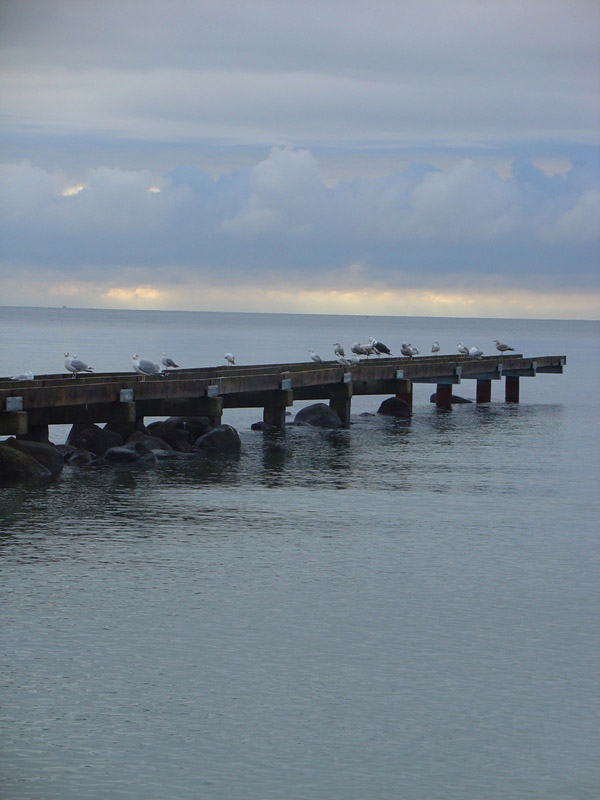 Fehmarn 2004