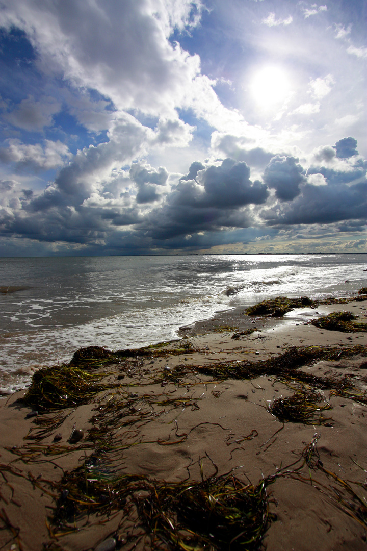 Fehmarn 2010 - Nach dem Sturm