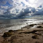 Fehmarn 2010 - Nach dem Sturm