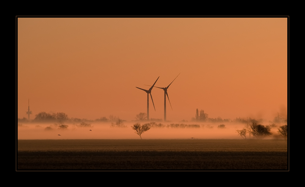 Fehmarn am Morgen Part 2